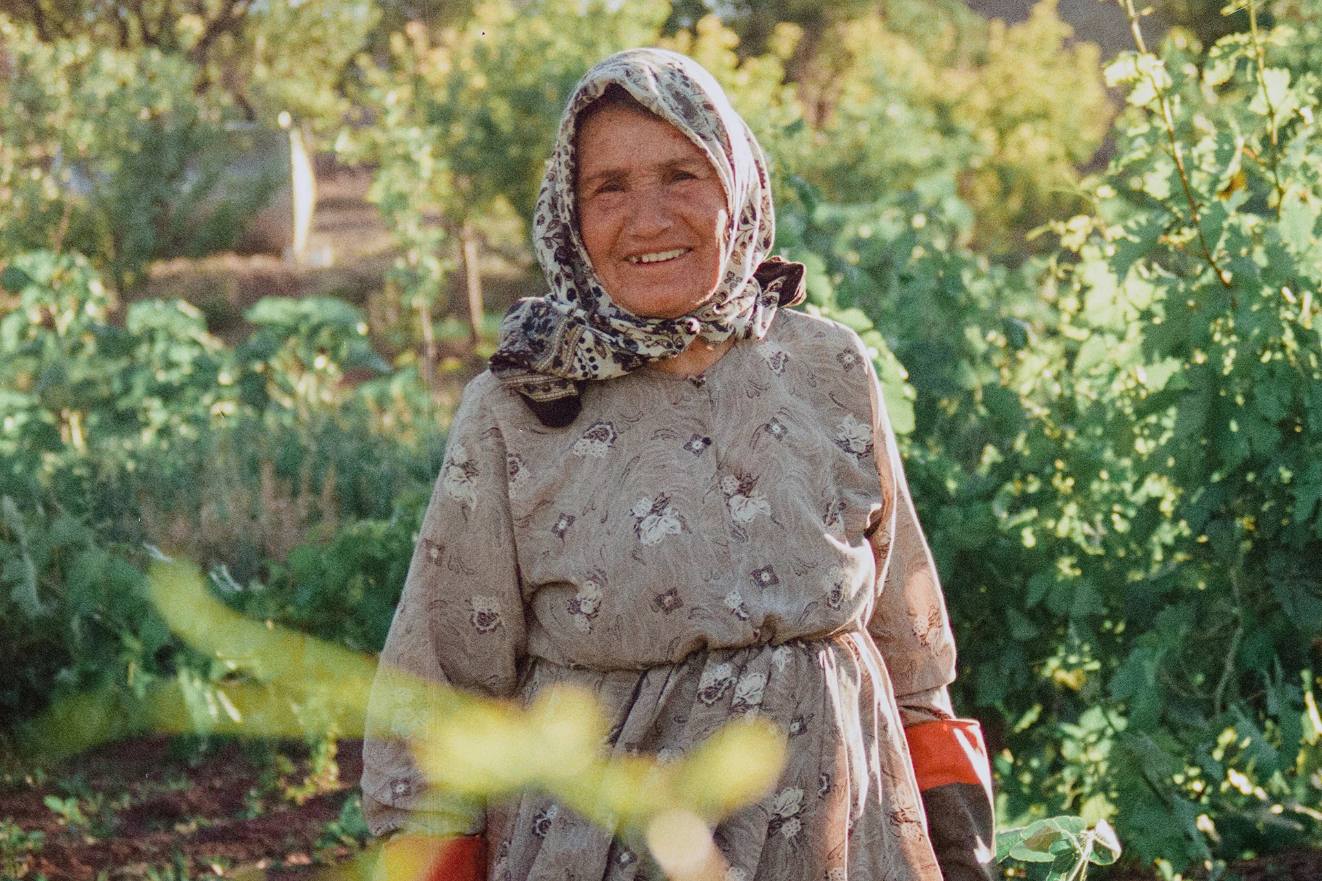 Alte Frau bei der Gartenarbeit