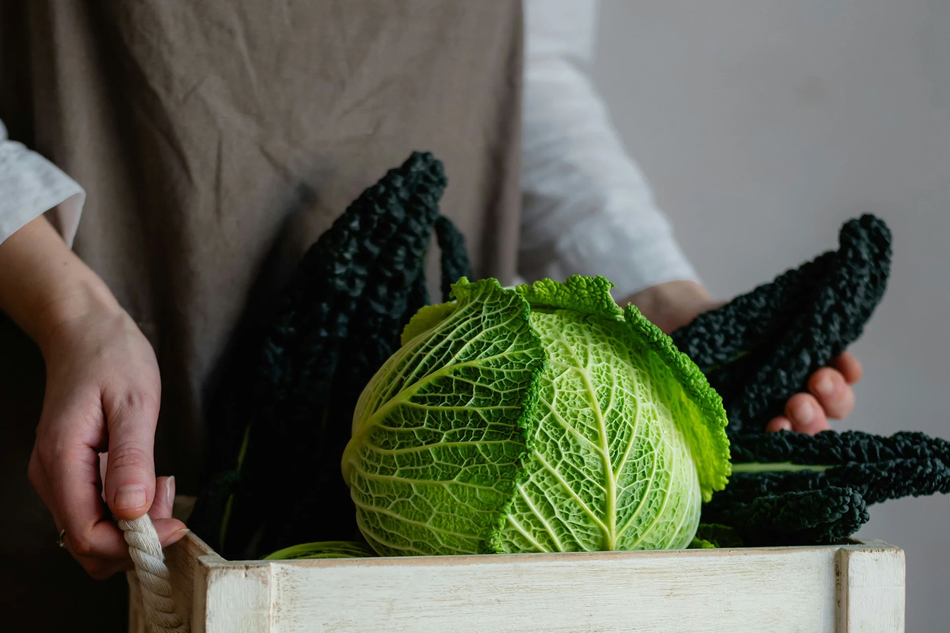 Sirtuine als Lebensverlängerung