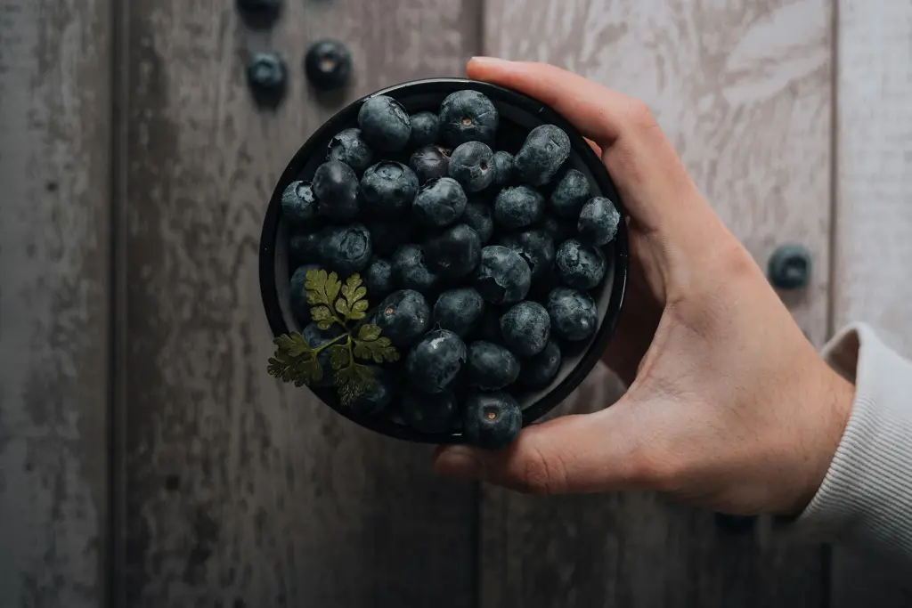 Blaubeeren