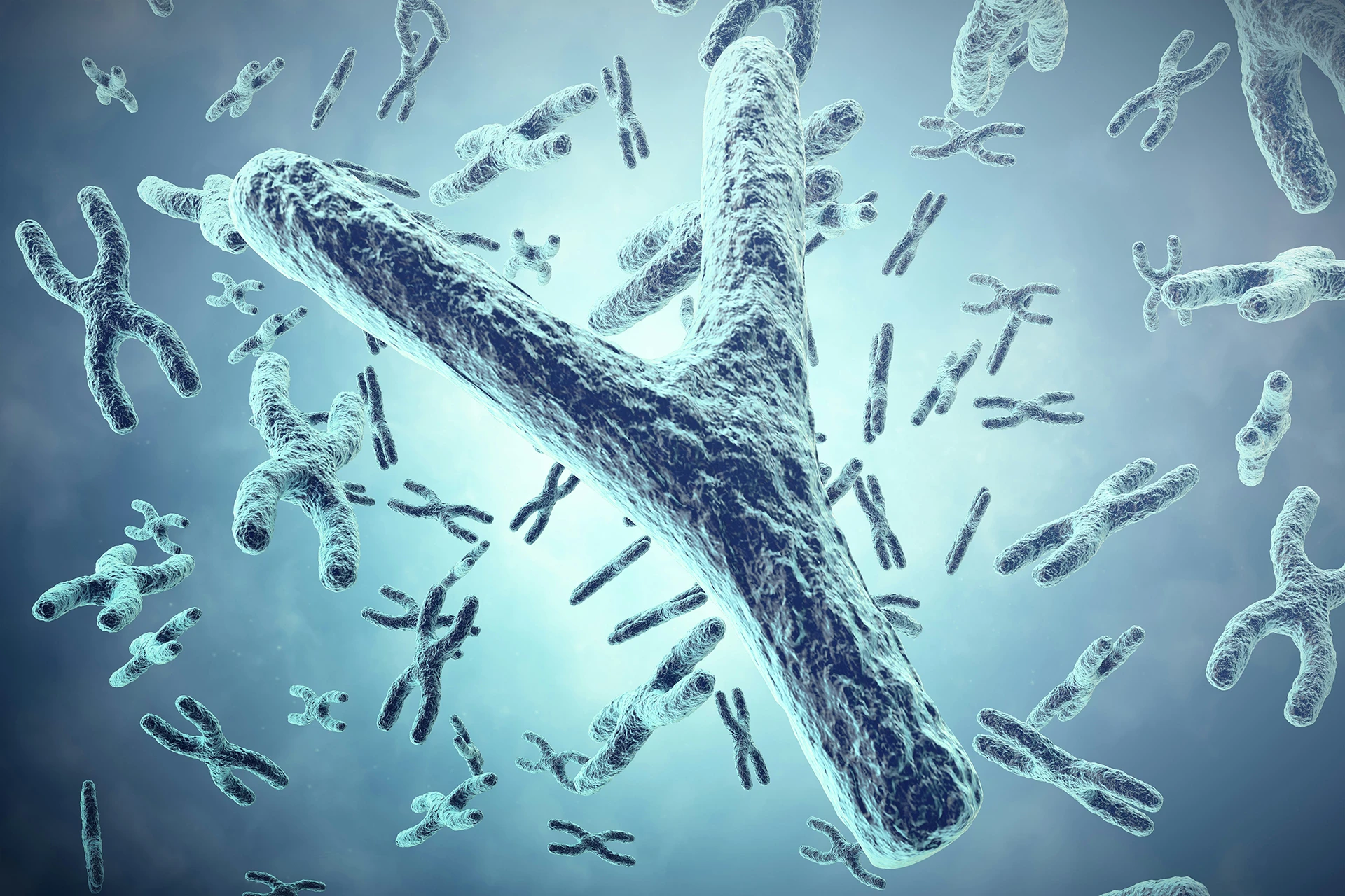 Telomere Symbolbild